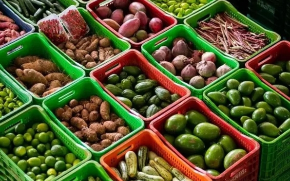 Procon Aracaju apresenta variação de preços de produtos hortifruti