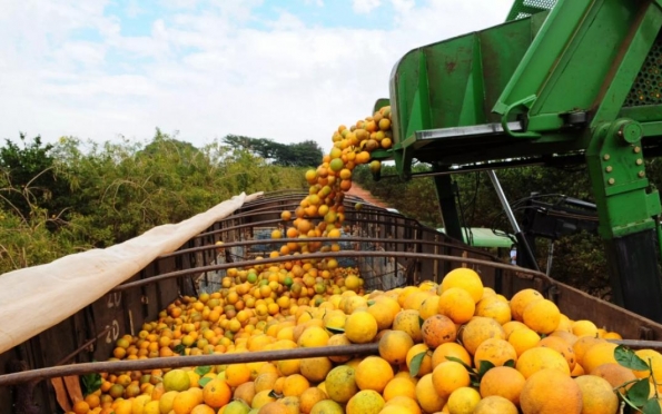 Em março, suco de laranja foi responsável por 68% das exportações sergipanas