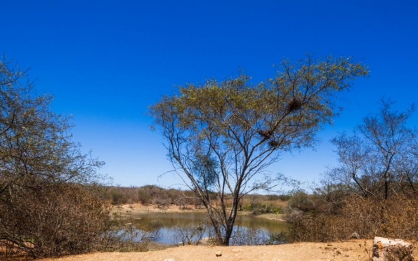 Recuo da seca é registrado no mês de fevereiro em Sergipe