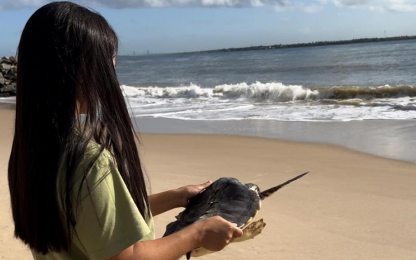 Tamar e Adema realizam retorno ao mar de tartaruga reabilitada