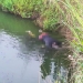 Jovem desaparecido é encontrado morto em tanque de piscicultura em Sergipe