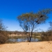 Sergipe registra redução da intensidade de seca, aponta relatório