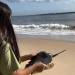 Tamar e Adema realizam retorno ao mar de tartaruga reabilitada