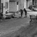 Vídeo: Câmera flagra tentativa de triplo homicídio no Lamarão