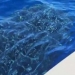 Vídeo: Tubarão-baleia é encontrado por pescadores nas águas de Sergipe