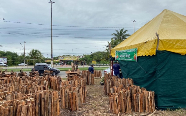 Começa cadastro para a venda de milho e fogueiras em Aracaju; confira