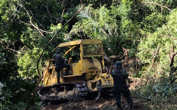 Desmatamento: Homem é preso por crime ambiental em Malhador 