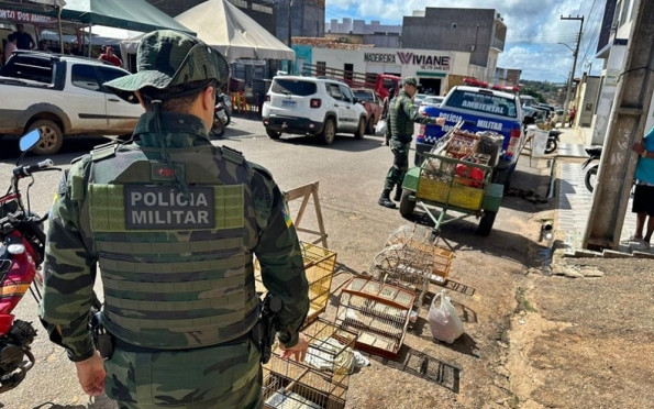 Polícia reforça fiscalização contra o cativeiro irregular de animais