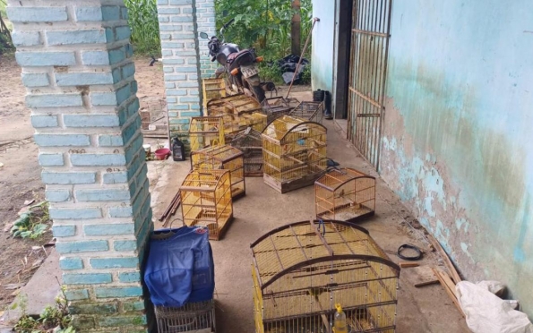 Polícia resgata mais de 50 animais silvestres em Riachão do Dantas