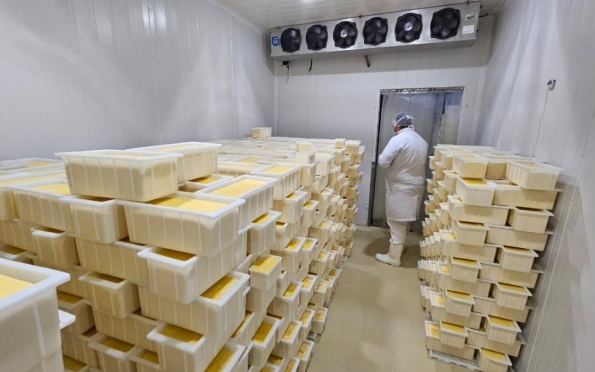 Produção de queijo em Sergipe cresce com Selo de Inspeção Estadual