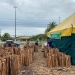 Começa cadastro para a venda de milho e fogueiras em Aracaju; confira