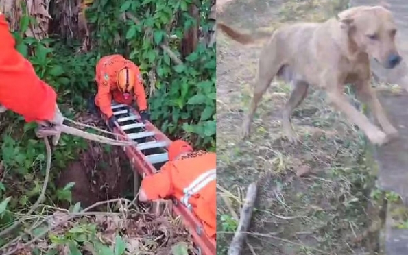 Bombeiros resgatam cachorro que caiu dentro de cisterna em Malhador (SE)