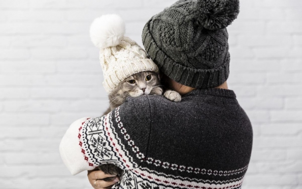 Confira os cuidados adequados com os pets durante o inverno