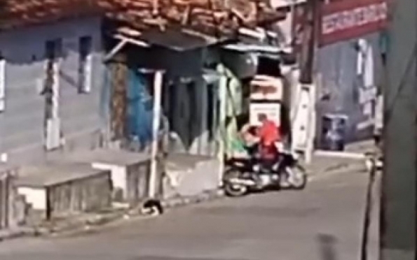 Vídeo: homem é indiciado por agredir cão com arma de choque em Maruim