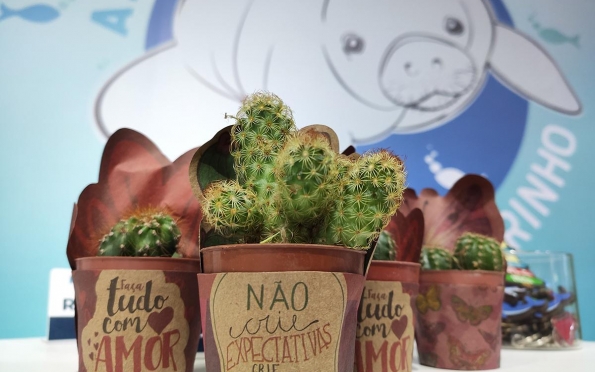 Shopping Jardins promove campanha de troca de material reciclável por mini cacto