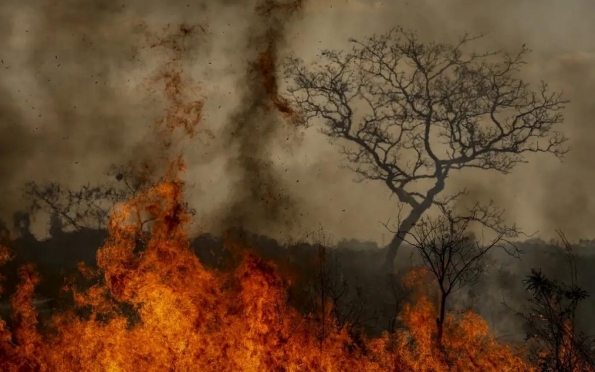 Defesa Civil diz que ação humana causou 99,9% dos incêndios em SP