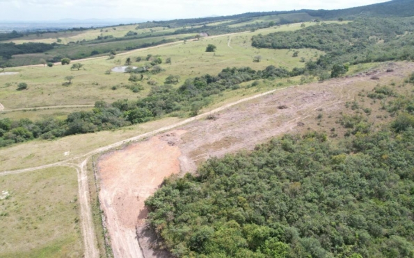 Fiscalização da Adema constata retirada irregular de vegetação em Itabaiana