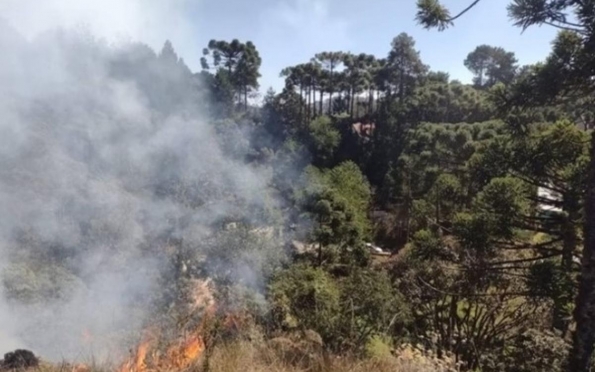 Incêndios em SP: 80% dos focos foram em áreas de uso agropecuário