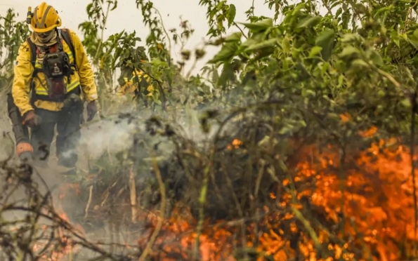 Brasil já registrou mais de 154 mil focos de calor este ano