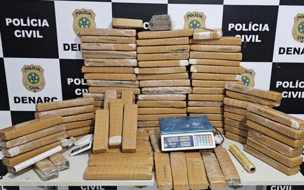 Denarc apreende 82kg de maconha avaliados em R$ 180 mil 