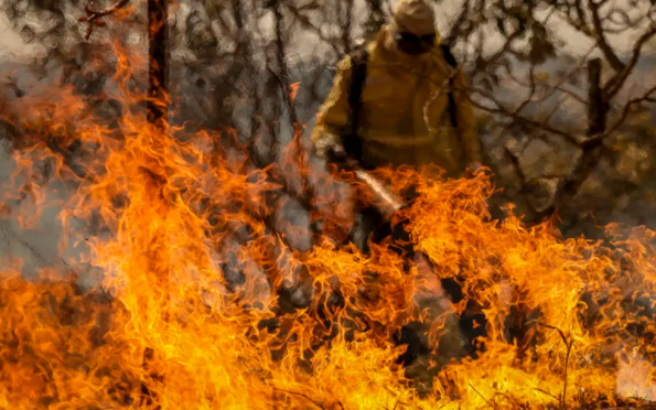 Entenda as linhas de investigação dos incêndios florestais no país