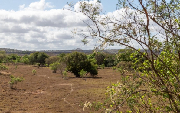 Seca de intensidade fraca avançou pelos territórios sergipanos