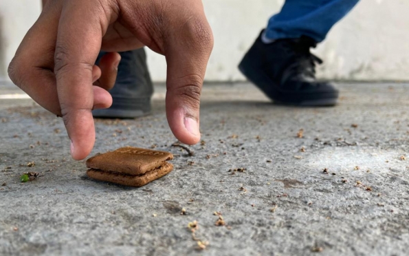 ITPS destaca riscos de comer alimentos que entram em contato com o chão