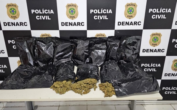 Polícia apreende 7kg de flor de cannabis, droga avaliada em R$ 15 mil reais o quilo