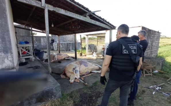 Polícia desativa abatedouro clandestino de gado no município de Propriá