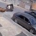 Vídeo: cavalo usado para puxar carro cai devido ao sobrepeso em Malhador