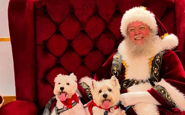 Encontro de Pets com o Papai Noel acontece no RioMar Aracaju