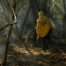 Amazônia tem o maior número de queimadas e incêndios em 17 anos