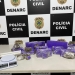 Denarc prende mulher em flagrante por tráfico de drogas em Aracaju