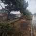 Árvore cai na Zona Oeste de Aracaju durante tempestade