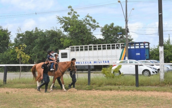 PMSE/Reprodução