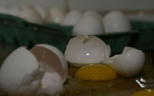Produção de ovos de galinha bate novo recorde no país, diz IBGE